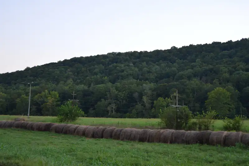Round hay bales below a wooded hillside in Rarden Township